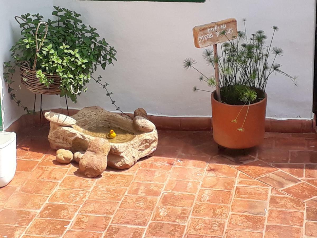 Posada Suenos De Antonio 바리차라 외부 사진